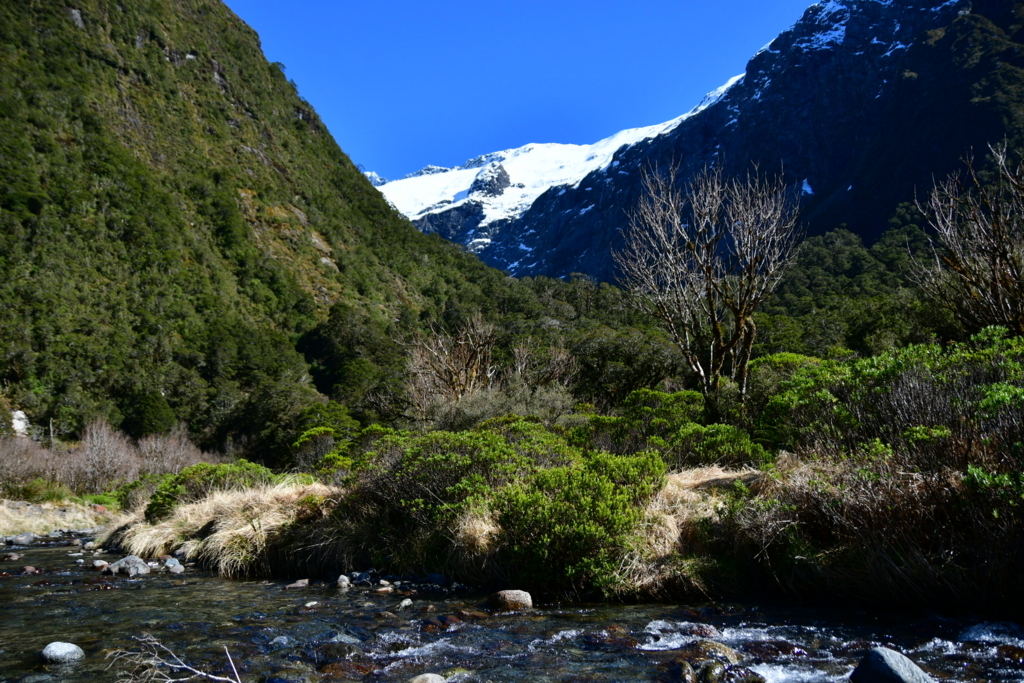 f:id:Chimakix:20171023182444j:plain