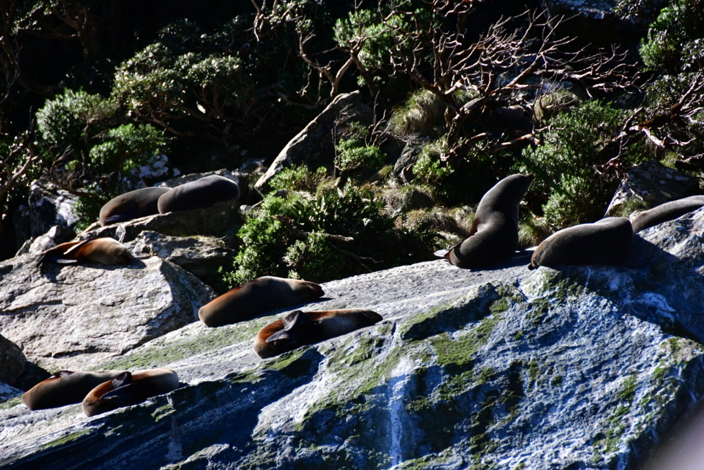 f:id:Chimakix:20171023184404j:plain