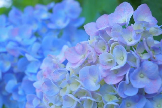 f:id:China-tushin:20200713114432j:plain