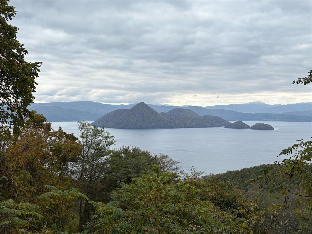 f:id:Chinchilla_scoop:20260110014041j:image f:id:Chinchilla_scoop:20260110014041j:image