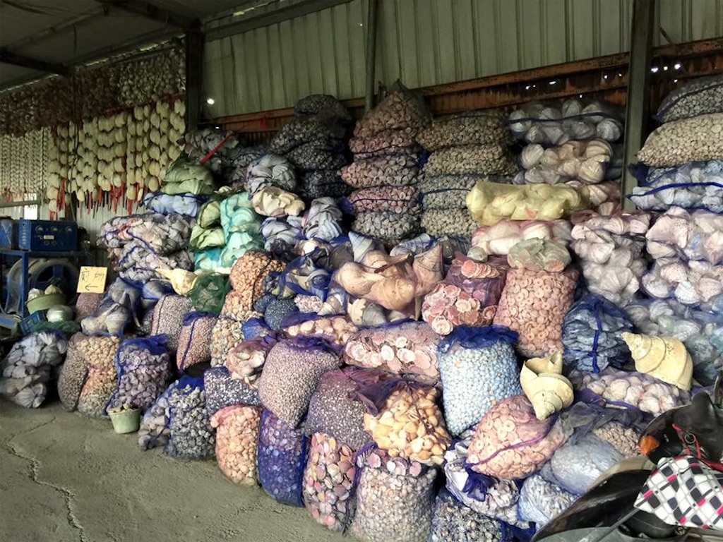 f:id:Chinnekodou:20170627204431j:image