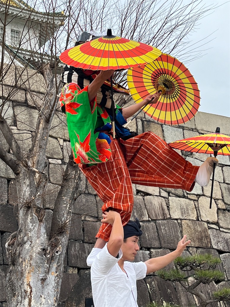 f:id:Chinnekodou:20240108172228j:image f:id:Chinnekodou:20240108172228j:image