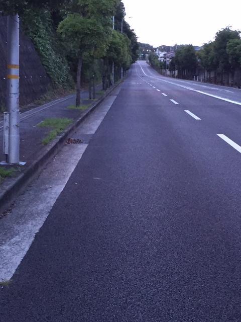 f:id:Choei:20160703112529j:plain