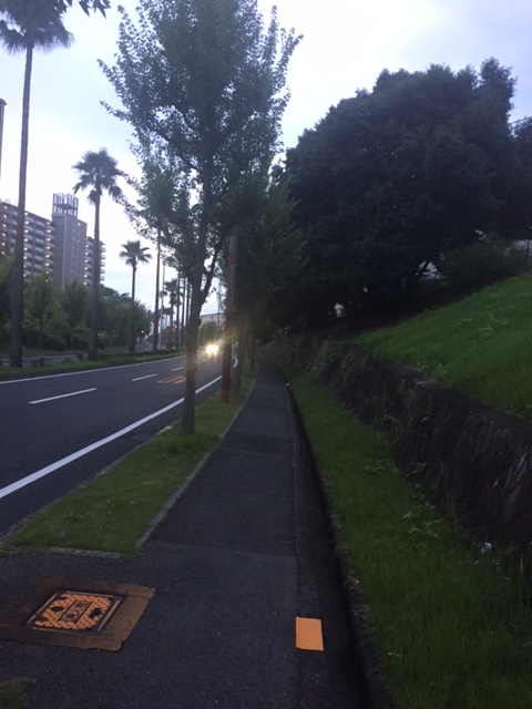 f:id:Choei:20160713160830j:plain