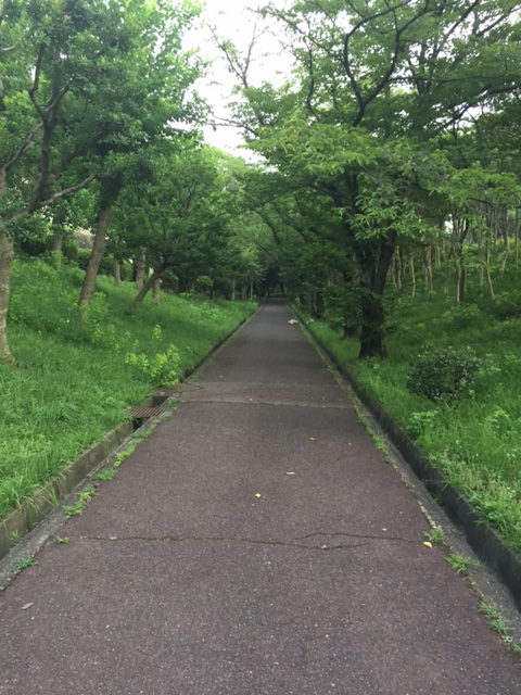 f:id:Choei:20160713161026j:plain