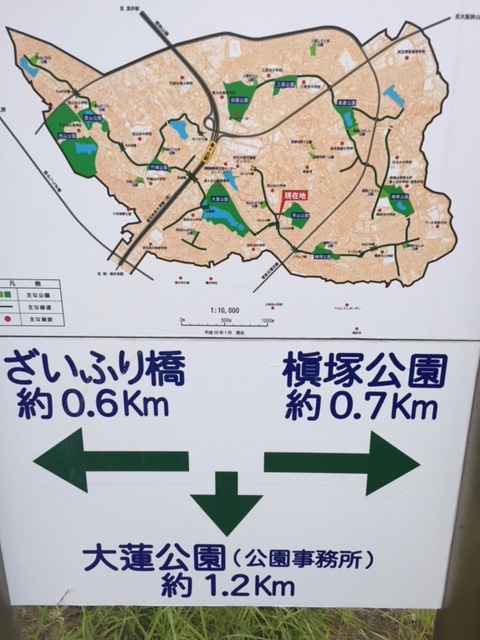 f:id:Choei:20160803171238j:plain f:id:Choei:20160803171238j:plain