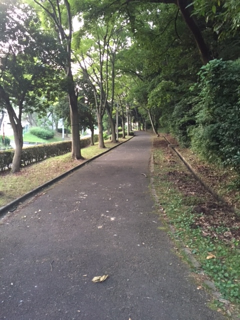 f:id:Choei:20160803171526j:plain f:id:Choei:20160803171526j:plain