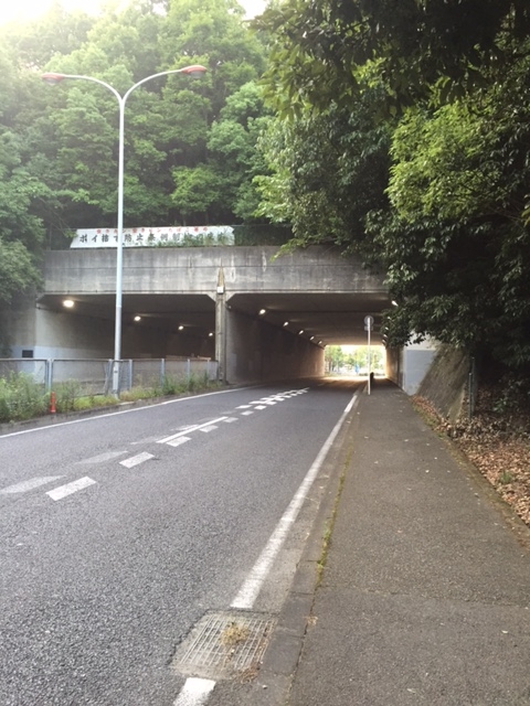 f:id:Choei:20160803171750j:plain f:id:Choei:20160803171750j:plain