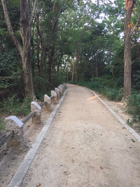 f:id:Choei:20160803171857j:plain f:id:Choei:20160803171857j:plain