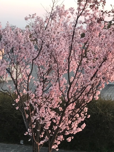 f:id:Choei:20170404114521j:plain f:id:Choei:20170404114521j:plain