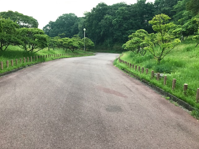 f:id:Choei:20170601162304j:plain