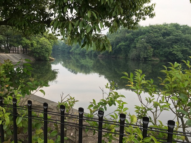 f:id:Choei:20170601163438j:plain