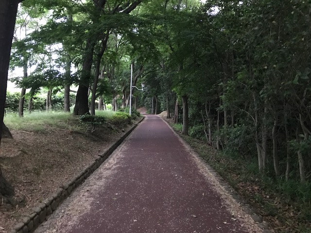 f:id:Choei:20170601164039j:plain