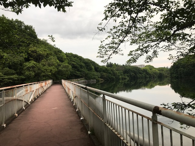 f:id:Choei:20170603182354j:plain