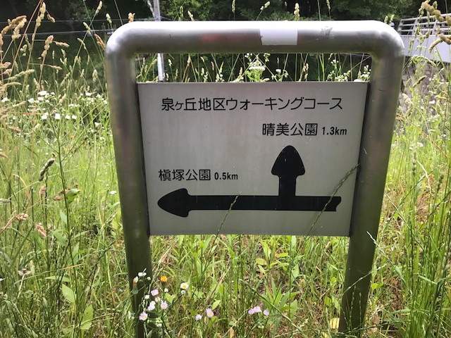 f:id:Choei:20170603182908j:plain