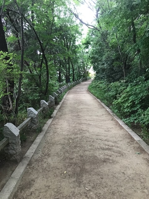 f:id:Choei:20170603184225j:plain