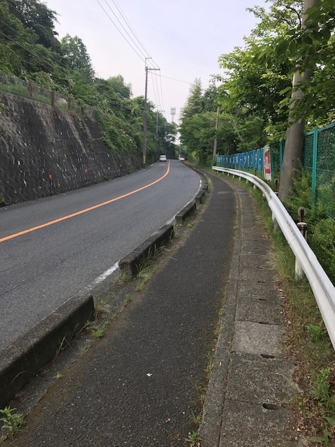f:id:Choei:20170605140513j:plain