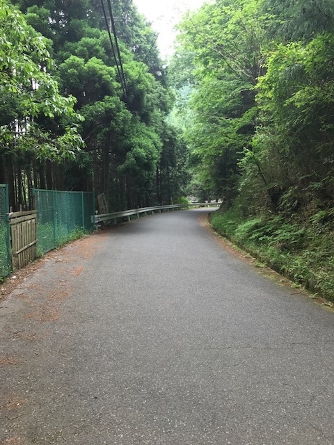 f:id:Choei:20170605174437j:plain