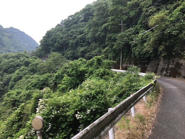 f:id:Choei:20170605175130j:plain