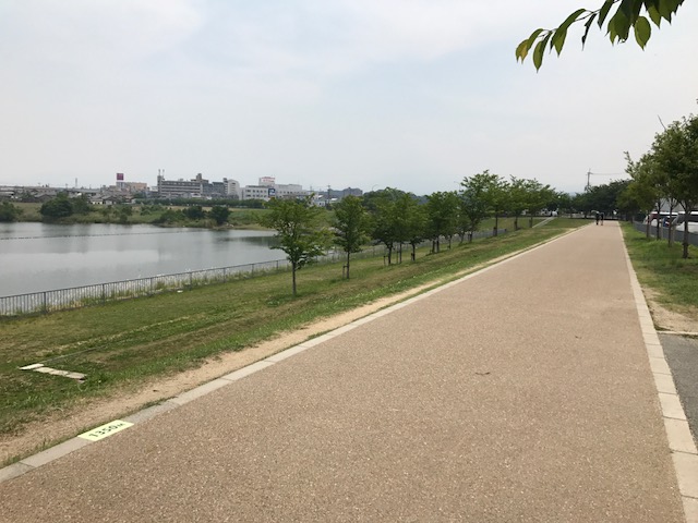 f:id:Choei:20170608112950j:plain