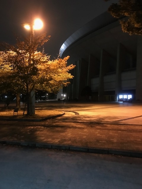 夜の長居公園を走った 走って パパして 仕事して ときどき夫 夜の長居公園を走った 走って パパして 仕事して ときどき夫