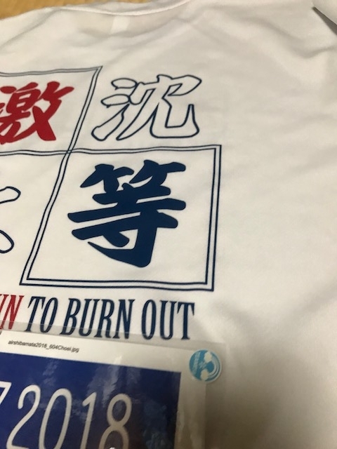 f:id:Choei:20180604151812j:plain