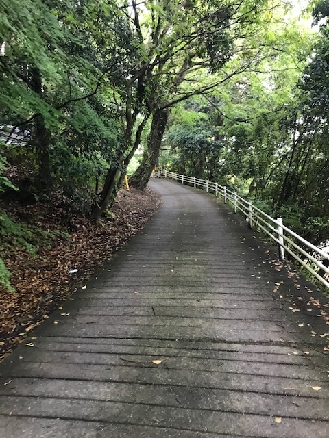 f:id:Choei:20190516123618j:plain