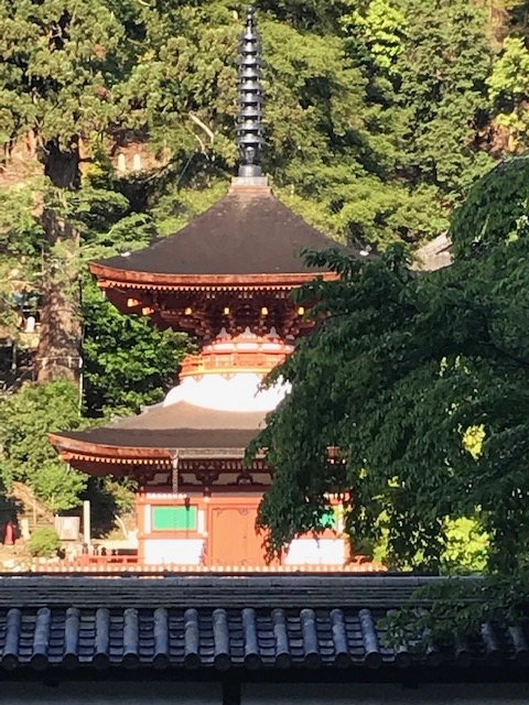 f:id:Choei:20190516123636j:plain