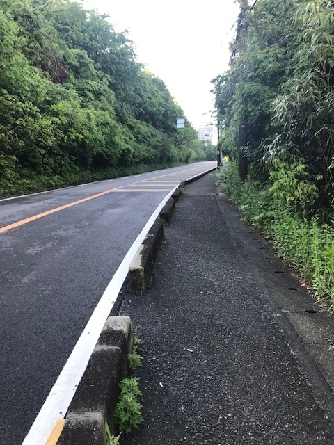 f:id:Choei:20190516123754j:plain