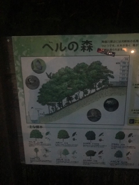 f:id:Choei:20190524114836j:plain