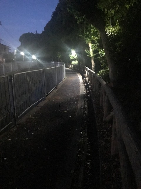 f:id:Choei:20190524114902j:plain
