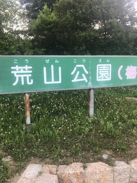 f:id:Choei:20190524120057j:plain