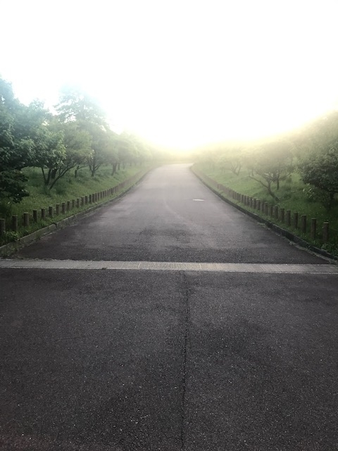 f:id:Choei:20190524120217j:plain