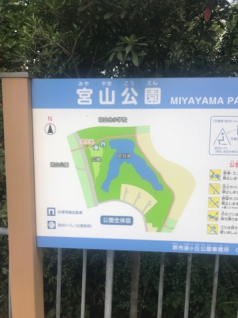 f:id:Choei:20190524120316j:plain
