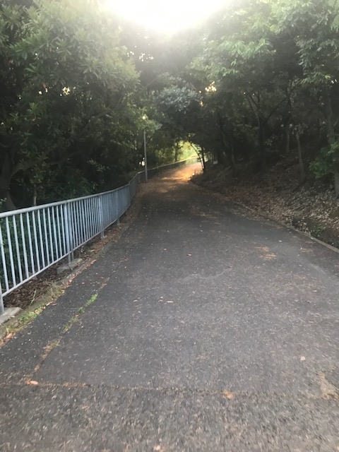 f:id:Choei:20190524120338j:plain