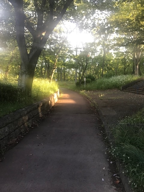 f:id:Choei:20190524121111j:plain