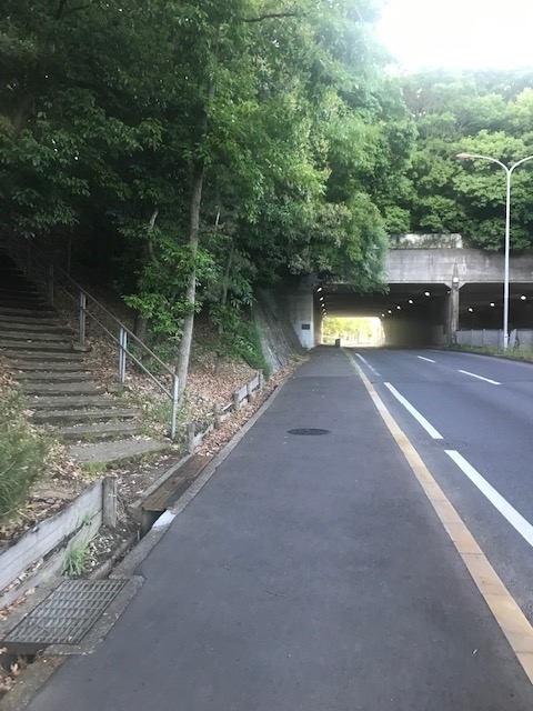 f:id:Choei:20190524121255j:plain