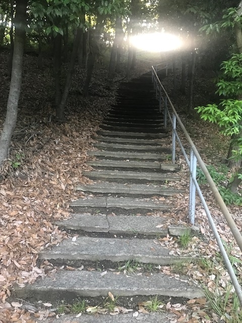 f:id:Choei:20190524121533j:plain