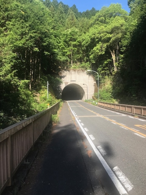 f:id:Choei:20190524131452j:plain