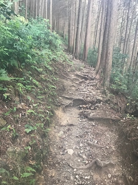 f:id:Choei:20190524163548j:plain