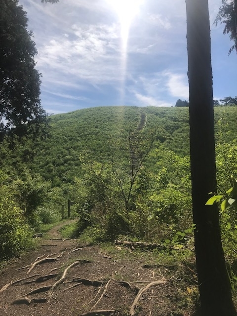 f:id:Choei:20190524164615j:plain