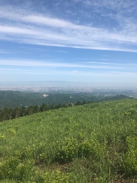 f:id:Choei:20190524164807j:plain
