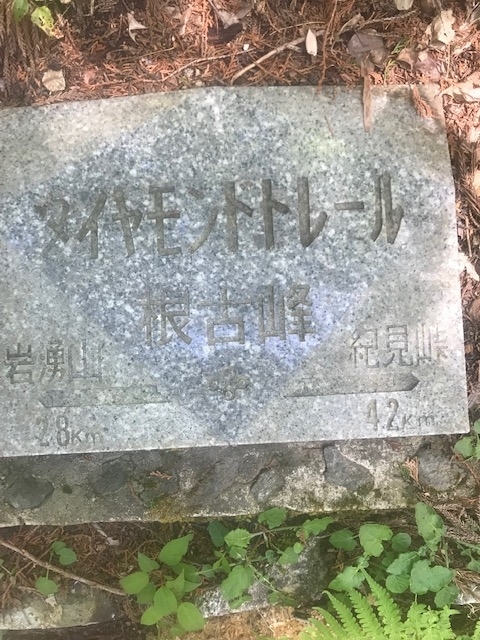 f:id:Choei:20190524170156j:plain
