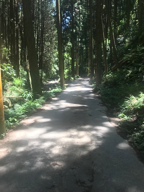 f:id:Choei:20190524170518j:plain
