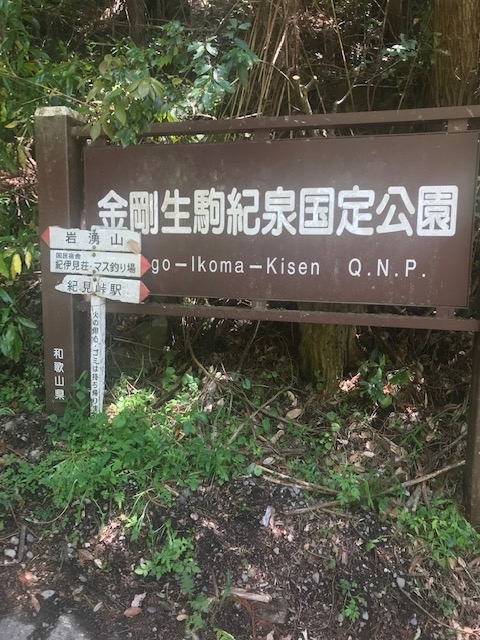 f:id:Choei:20190524170549j:plain