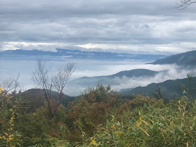 f:id:Choei:20201108134301j:plain