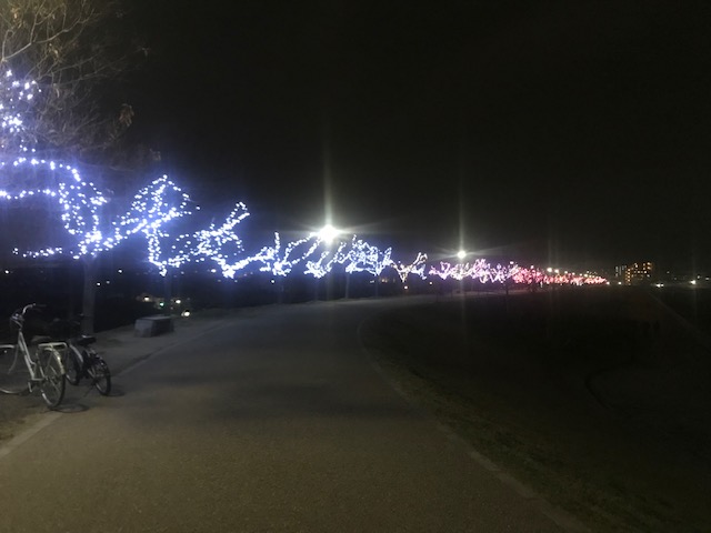 f:id:Choei:20201211130137j:plain