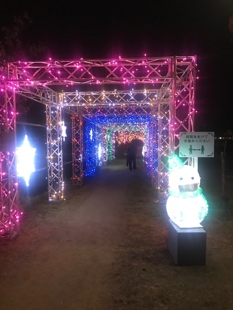 f:id:Choei:20201211130216j:plain