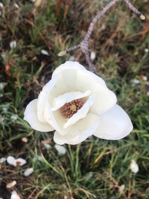 f:id:Choei:20220324140234j:plain