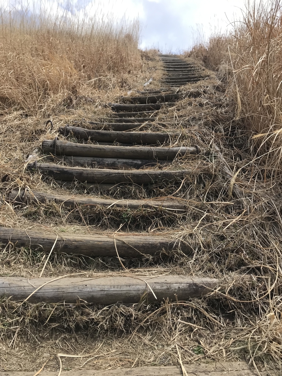 f:id:Choei:20220330155814j:plain